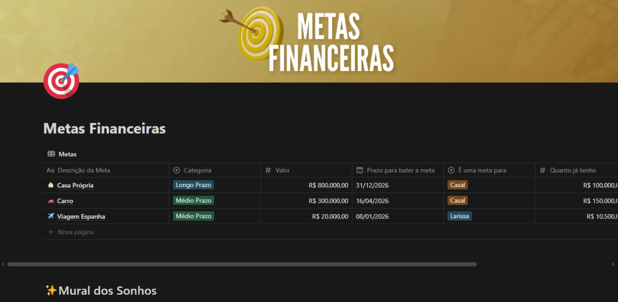 METAS FINANCEIRAS